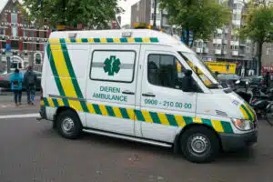 servizio ambulanza veterinaria servizio ambulanza veterinaria